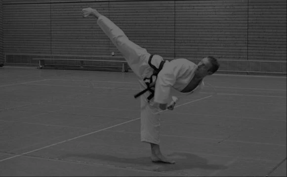Kampfsport, Selbstverteidigung und Fitness in Homburg Saar im Saarland